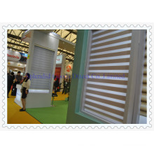 38mm Roller Window Blinds (SGD-R-3064)